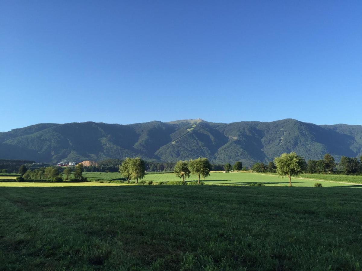 布鲁尼科Schoenhuberhof - Panoramalage公寓 外观 照片